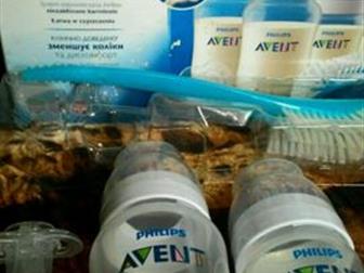 Philips AVENT  ,   ,   ,  3     ,   2 ,   ,      