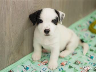              ,  : NON STOP LARKY ONLINE (  ,  