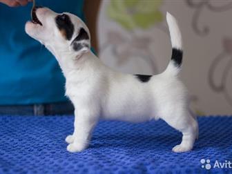              ,  : NON STOP LARKY ONLINE (  ,  