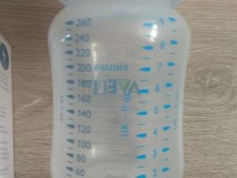   Avent,,260 :   