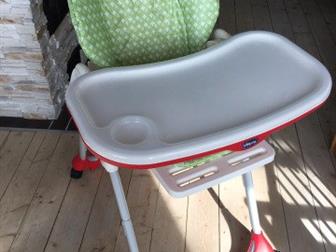     Chicco Polly,  ,    ,  ,            ,  
