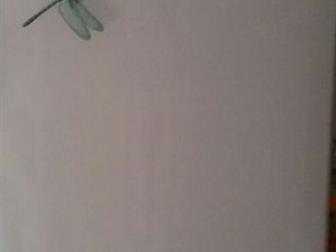     ,   2 ,   145,  56,  58  -