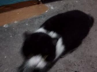   2 ,  15,  ,  ,  ,    , ,  -