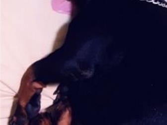    3  2   ,              