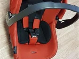   peg perego   ,    ,     peg perego, : /  