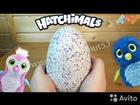 Hatchimals  -  