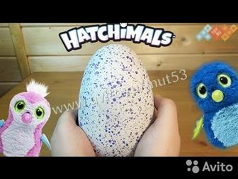 Hatchimals  -  Hatchimals -   !      -    ,    