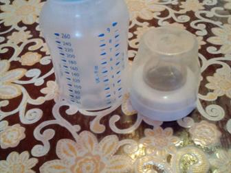     AVENT  260, , ,, : /  