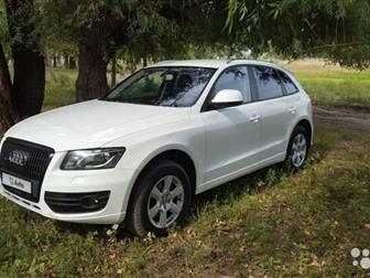  AUDI Q5 2010 , ,  ,    ,    , ,     ,   ,  