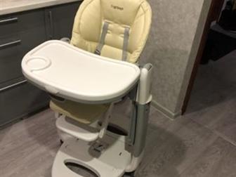     Peg-Perego Tatamia () 31,  :   ,     ,    