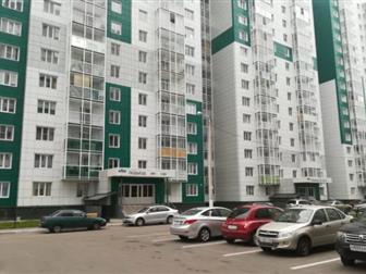      ,  ,  219/2,(1 )      2016,   100%  (  ,   