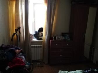   1981 ,  ,         43 ,  ,  ,  ,  ,  