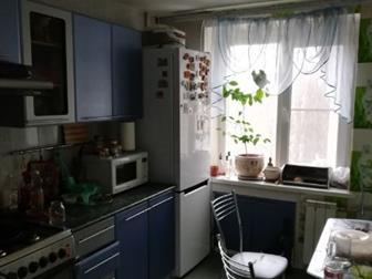   1981 ,  ,         43 ,  ,  ,  ,  ,  