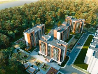      : ,  , , , , , ,  26,     ,  ,   ,  