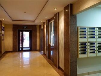    ,   !   ,   ,   ,    ,  