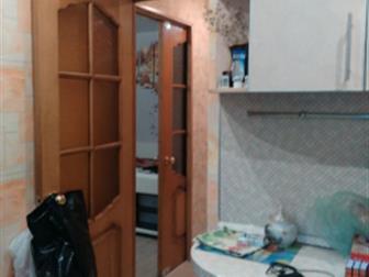  2       - ,   ,    ,  ,   ,   