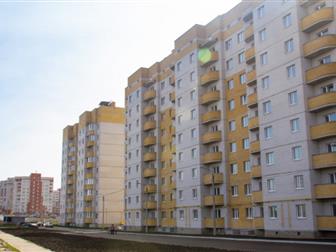  1-       ,    2019 ,   28 , ,   11 , , ,  ,    