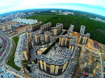    ,   :  , ,  ,   , ,    ,  