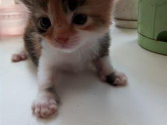     ,    ,   2 ,    ,  ,  ,      
