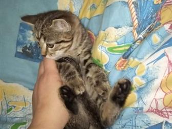  !  ,    ,    ,  ,  ,     ,   ,    ,   