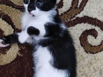 , 1,5 ,   ,   ,  , , , , ,   , ,   ,  