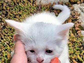 ,   ! ,   ,      !    ,        ,  06, 10, 2019      