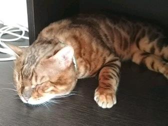    ,  2   1 ,  