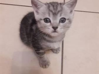   2    ,   ,   , ,,  