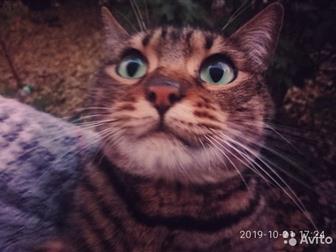     ,    ?    ,     ,  , ,  