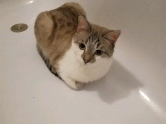   ,    ,  ,    ,  ,  