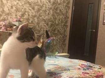   ,   ,   ,  ,   3 ,     , , , ,    
