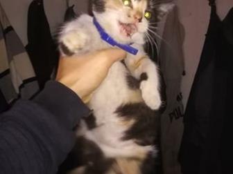   ,      ,          