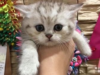 ,    ,      ,    ,   1,2 ,    ,    ,    