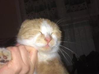   ,      6,   ,   ,  ,   ((       ,     