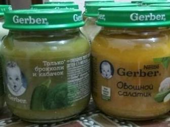   Gerber  Semper     ,  : -   80  7   30 ,-     130  3 ,-   