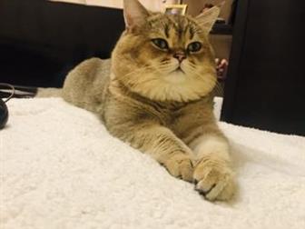       ,     ,    !!!  