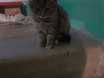, , , ,     !  ,   ,      !  