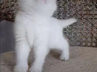         ,   , ,  ??  ??    
