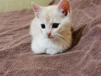    ,     ,    ,  4 ,      ,   , ,     ,   