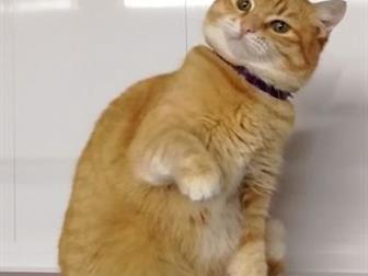?????? ?????? -   !!!  ,         !!!, ,  