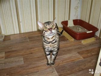      ,   1, 8,   ,  