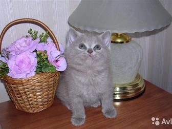   !  ,     ,   1 ,     ,      