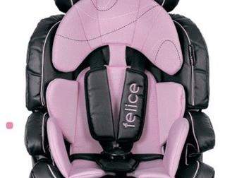   9-36 Chipolino Felise  Pink!    !           !:  
