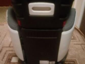  Welldon Magi Nacre      3   12 ,       3-  , :  