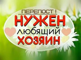        ,       ,     ,     ,    ,    